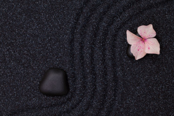 Картинка разное текстуры текстура цветок песок камень