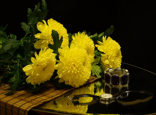 Обои картинки фото цветы, хризантемы, натюрморт, желтое, на, черном