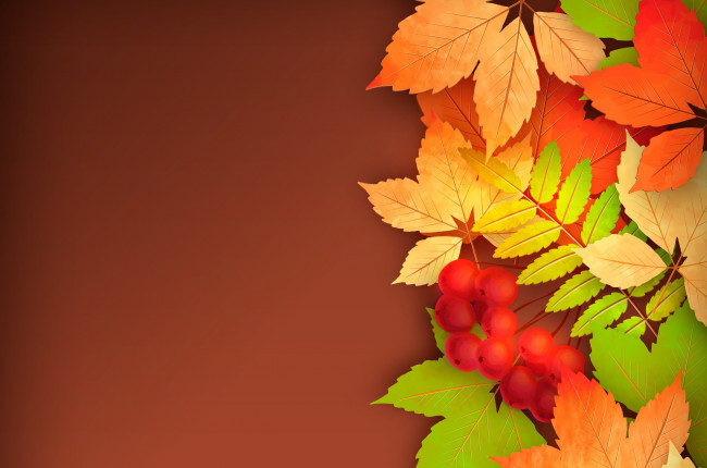 Обои картинки фото векторная графика, природа , nature, рябина, листья, осень