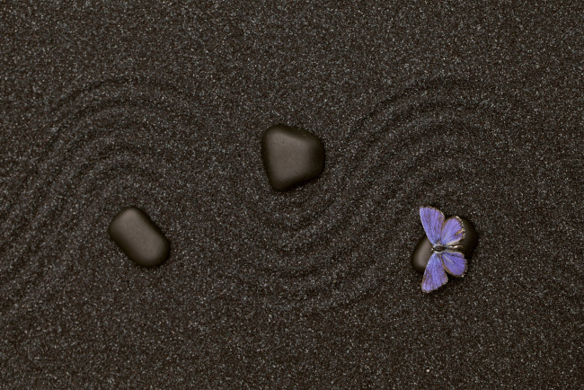 Обои картинки фото разное, текстуры, текстура, бабочка, песок, камень