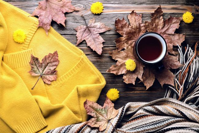 Обои картинки фото еда, кофе,  кофейные зёрна, свитер, шарф, осень, листья