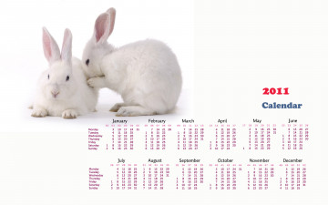 Картинка календари животные