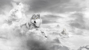обоя животные, волки, облака, волк