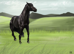 Картинка рисованные животные +лошади луг лошадь