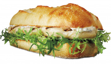Картинка еда бутерброды +гамбургеры +канапе зелень сыр мясо гамбургер