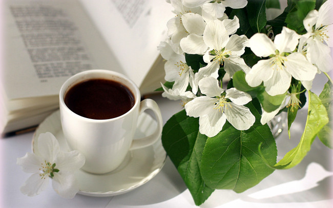 Обои картинки фото еда, кофе,  кофейные зёрна, стихи, книга, цветы, ветка, чашка