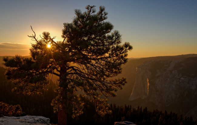 Обои картинки фото yosemite national park, природа, восходы, закаты, yosemite, national, park, закат, горы, сосна, лес