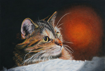 Картинка рисованное животные +коты портрет ушки усы живопись взгляд коте кот