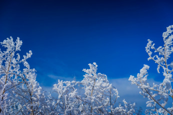 Картинка природа зима иней снег небо ветки