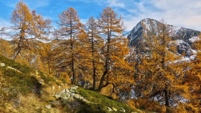 Обои картинки фото природа, горы, лес, осень
