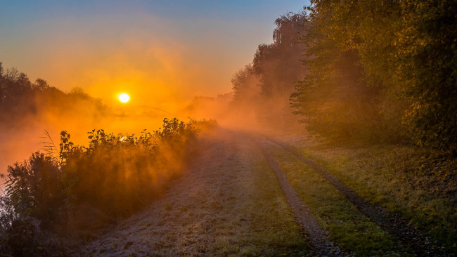 Обои картинки фото природа, восходы, закаты, восход, дорога, туман, утро