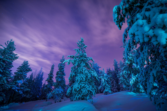 Обои картинки фото природа, зима, сугробы, лес, снег, финляндия, лапландия, деревья, finland, lapland