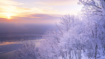 Картинка природа зима деревья река снег