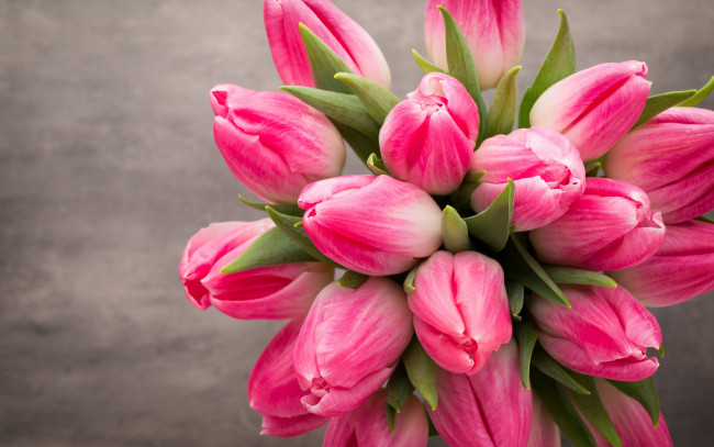 Обои картинки фото цветы, тюльпаны, beautiful, розовые, fresh, белые, tulips, букет, spring, flowers