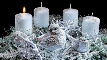 обоя праздничные, новогодние свечи, свечи, голуби, птицы