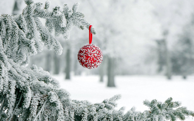 Обои картинки фото праздничные, шары, снег, шарик, елка