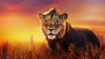 обоя mufasa,  the lion king ,  2024 , мультфильмы,  the lion king, муфаса, кoрoль, лeв, мультфильм, мюзикл, приключения, семейный, disney, пoстeр, the, lion, king, taka