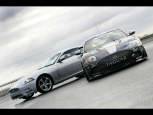 обоя 2007, jaguar, xkr, gt3, автомобили