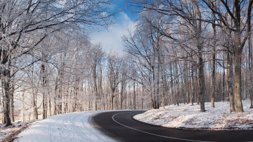 Картинка природа дороги зима лес дорога