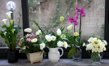 Картинка цветы разные вместе вербена каллы орхидея фрезии тюльпаны
