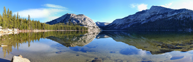 Обои картинки фото природа, реки, озера, tenaya, горы, снег, вода, отражение, деревья, лес