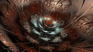 Картинка 3д графика flowers цветы паутина узор роза цветок лепесток