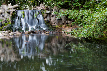Картинка природа водопады лес река обрыв камни водопад