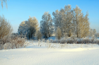 Картинка природа зима солнце деревья снег