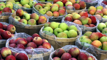 Картинка еда Яблоки бочки урожай яблоки