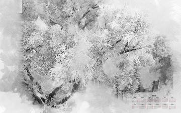 обоя календари, компьютерный дизайн, зима, снег, деревья, 2018