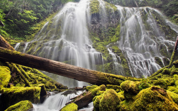 Картинка природа водопады водопад каскад бревна зелень мох обрыв