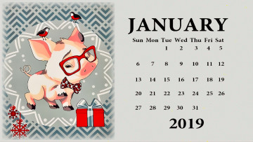 Картинка календари праздники +салюты подарок свинья поросенок птица очки