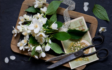 Картинка цветы жасмин рамка ножницы кружево