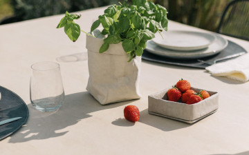 Картинка еда клубника +земляника базилик ягоды