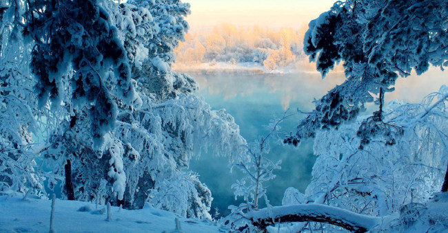 Обои картинки фото природа, зима, снег, деревья, река
