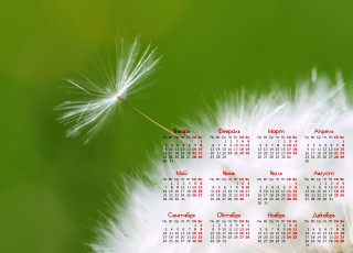 Картинка календари цветы одуванчик