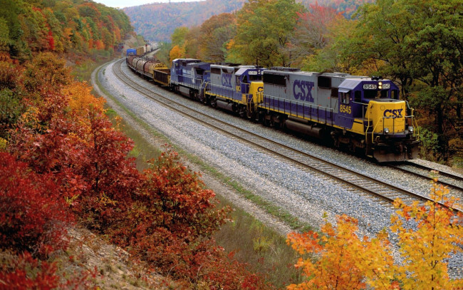Обои картинки фото техника, поезда, осень, деревья, рельсы, состав