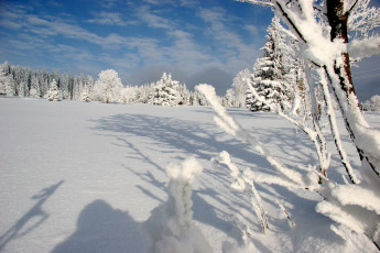 Картинка природа зима шумава снег горы national park sumava лес