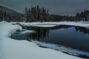 Картинка природа реки озера озеро лес сугробы вода снег