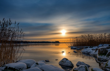 Картинка природа восходы закаты закат камыш камни финляндия балтийское море