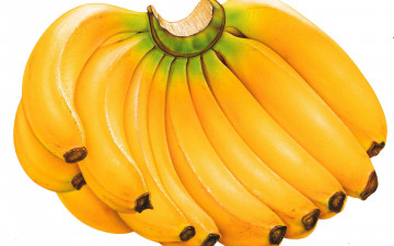 Картинка еда бананы гроздь