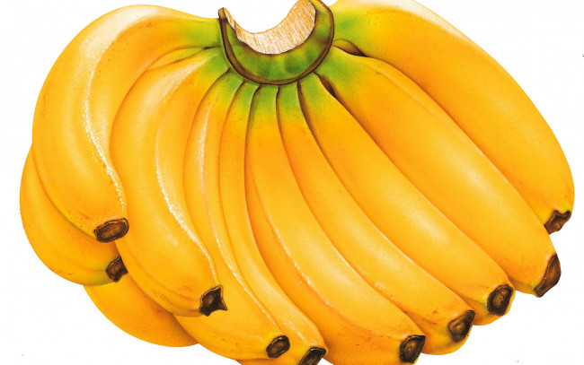 Обои картинки фото еда, бананы, гроздь
