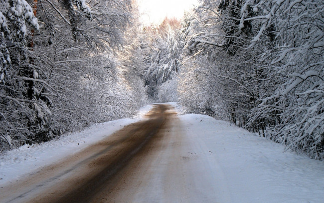 Обои картинки фото природа, дороги, дорога, деревья, зима