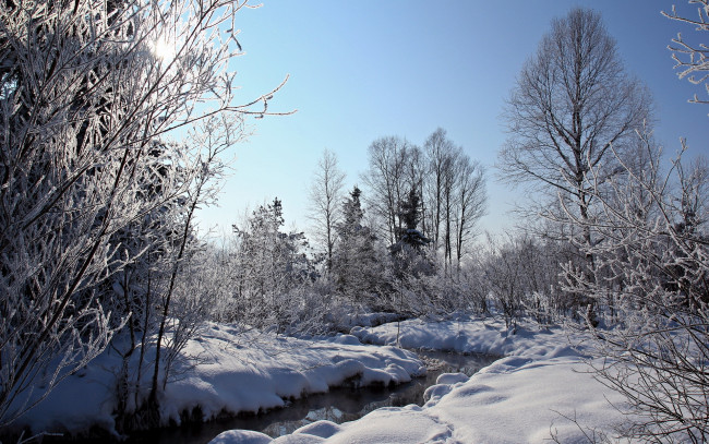 Обои картинки фото природа, зима, ручей, лес