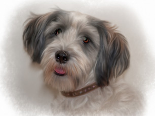 Картинка рисованные животные +собаки собака фон