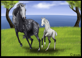 Картинка рисованные животные +лошади луг лошадка лошадь