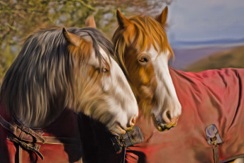 Картинка рисованные животные +лошади лошади текстура попона
