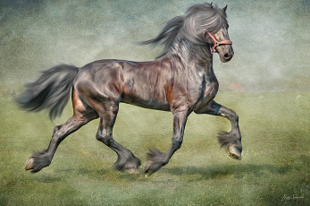 Картинка рисованные животные текстура лошадь конь