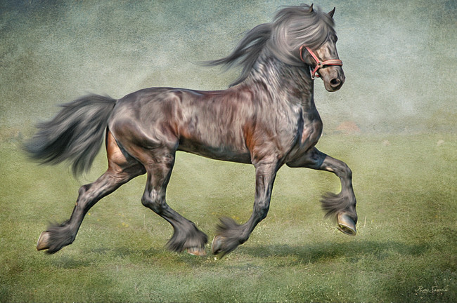 Обои картинки фото рисованные, животные, текстура, лошадь, конь