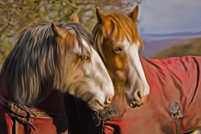 Обои картинки фото рисованные, животные,  лошади, лошади, текстура, попона